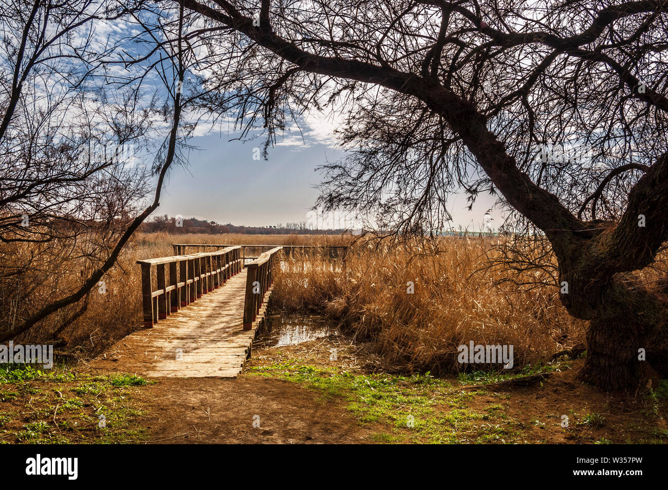 The Las Tablas de Daimiel National Park is a Spanish national park that protects the namesake