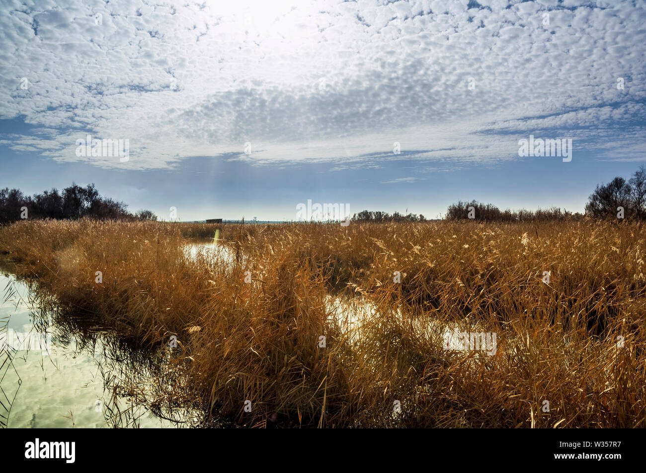 The Las Tablas de Daimiel National Park is a Spanish national park that protects the namesake
