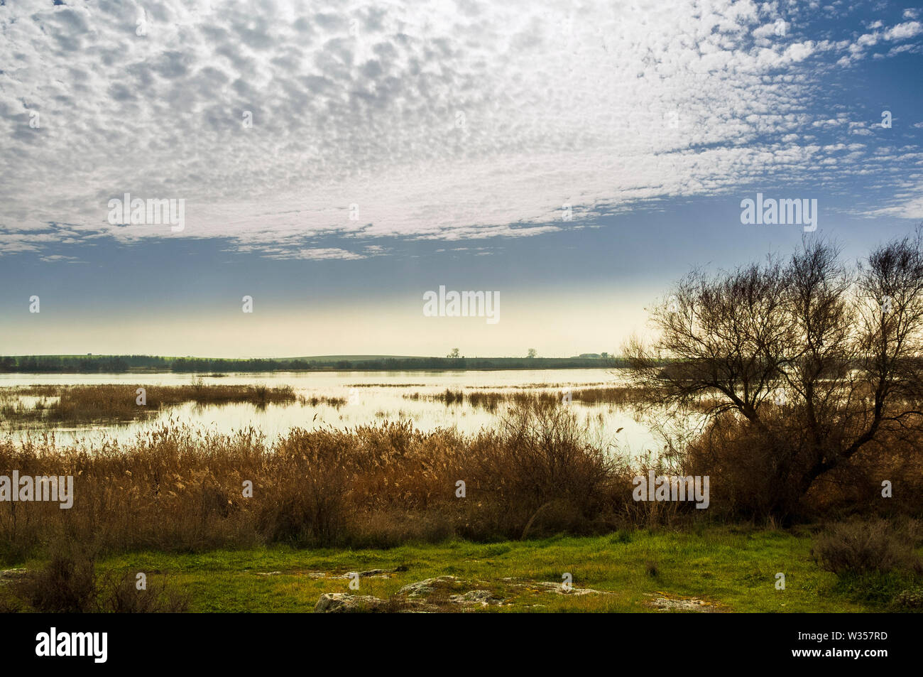 The Las Tablas de Daimiel National Park is a Spanish national park that protects the namesake