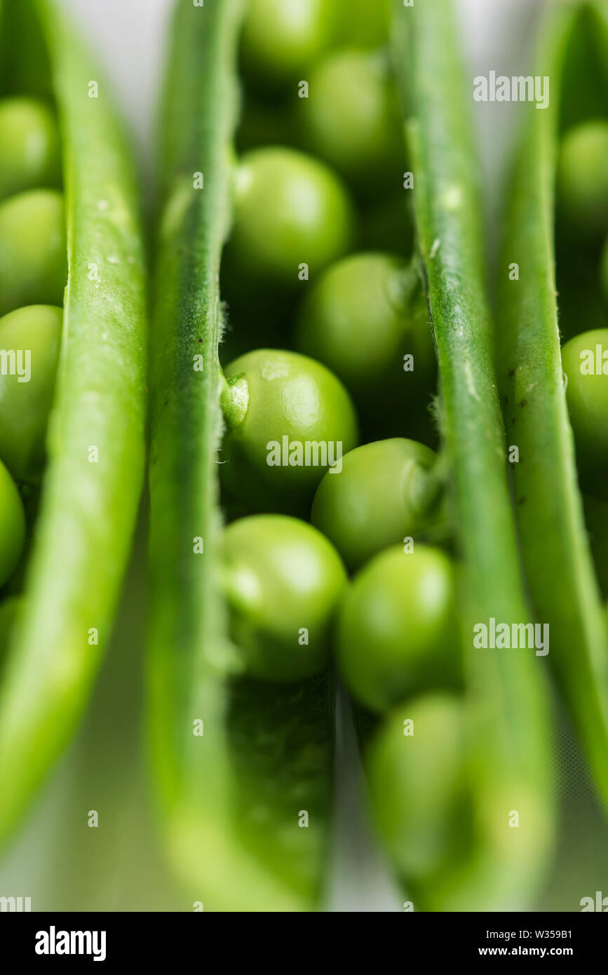 Fresh garden peas in their open pods, close up view Stock Photo