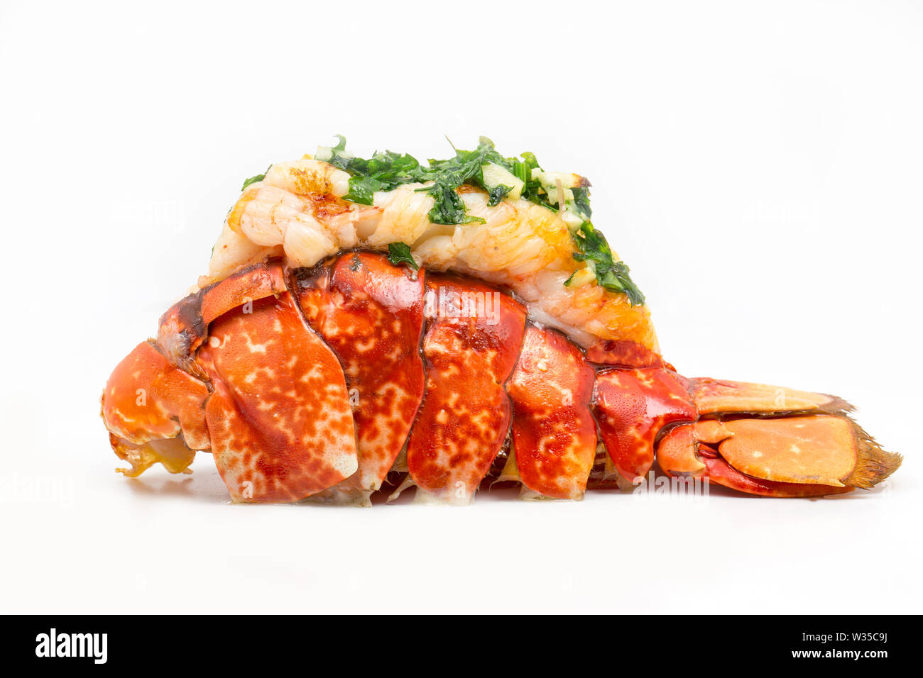 A cooked lobster tail from a lobster, Homarus gammarus caught in a lobster pot in the English Channel. It has been split, grilled and butter, garlic a Stock Photo