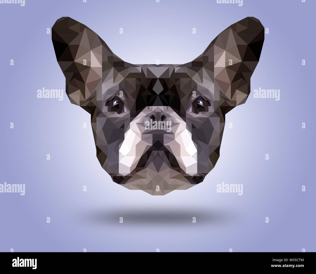 Symmetrical illustration of Boston terrier . Made in low poly triangular style. Stock Photo