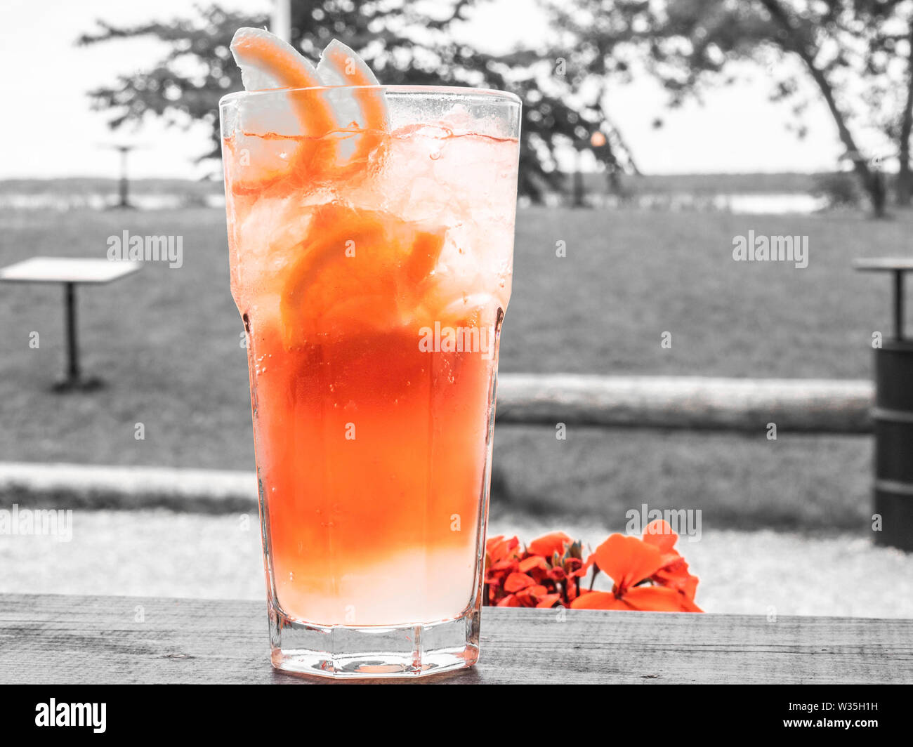 Glass of red coctail with ice, slices of lemon, orange Stock Photo