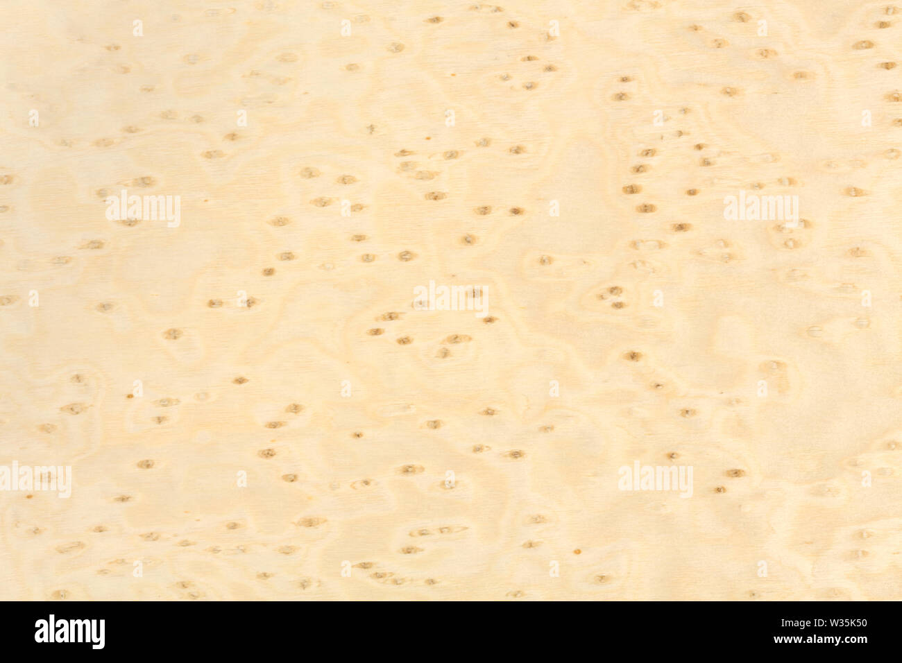 High quality bright maple wood grain texture Stock Photo Alamy