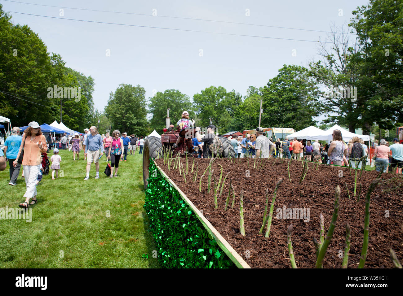 Hadley, Massachusetts is famous for their asparagus and have a festival