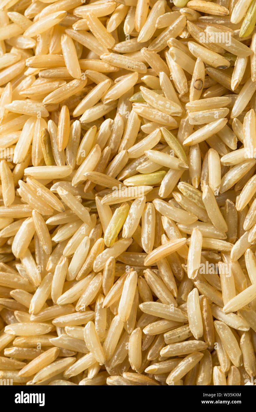 Dry Organic Indian Basmati Rice Ready to Cook Stock Photo Alamy