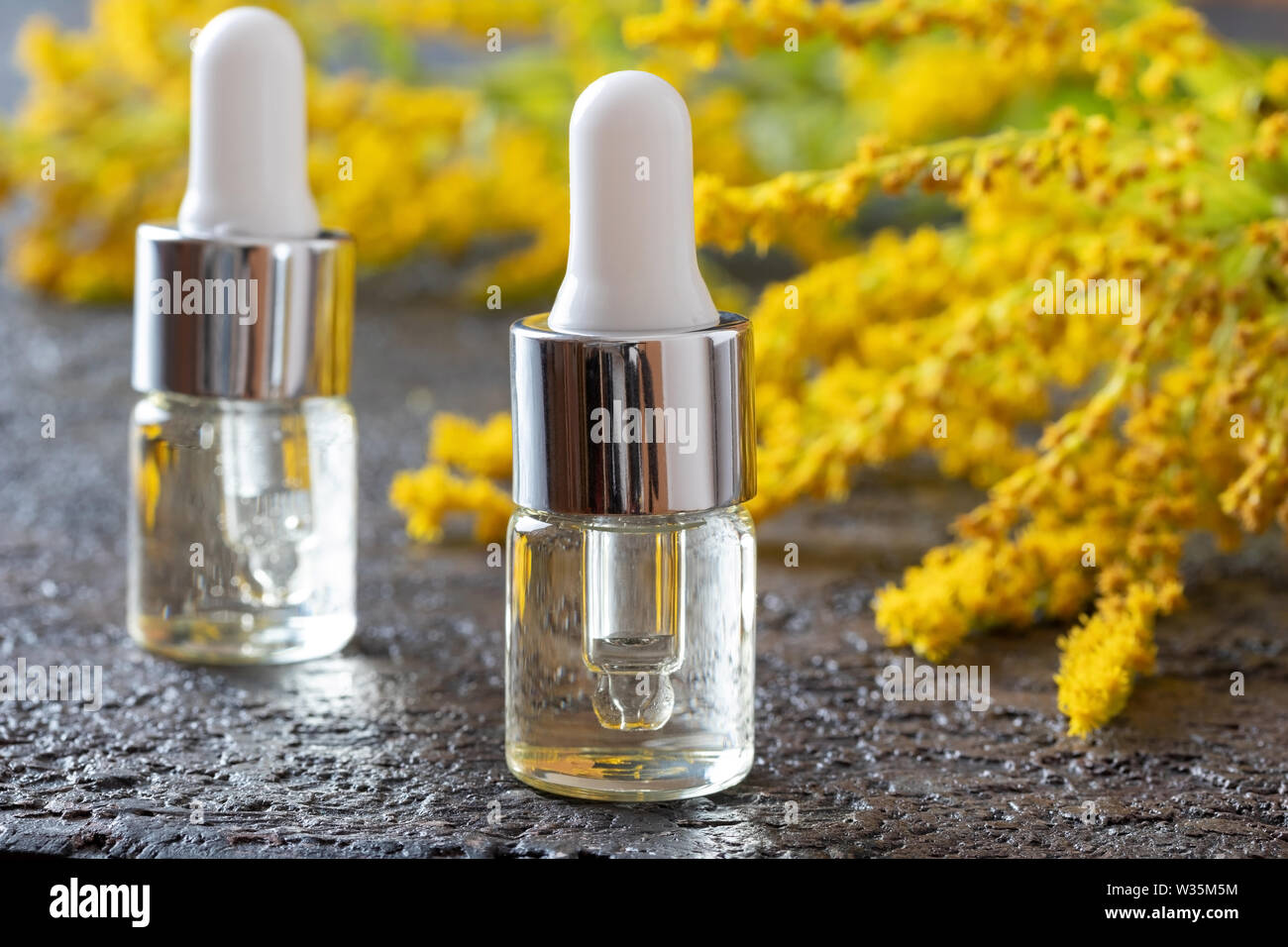 Transparent Bottles Of Canadian Goldenrod Essential Oil With Fresh Blooming Solidago Canadensis Plant Stock Photo Alamy
