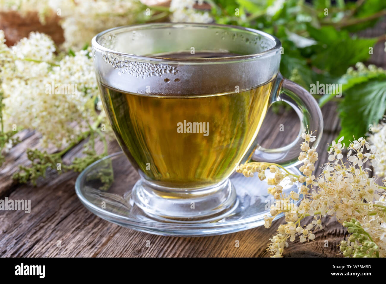 Herbal tea with fresh meadowsweet flowers on a table used as a