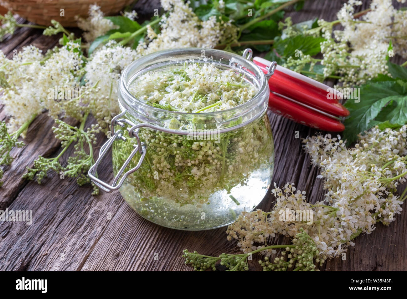 Aspirin Flower High Resolution Stock Photography and Images Alamy