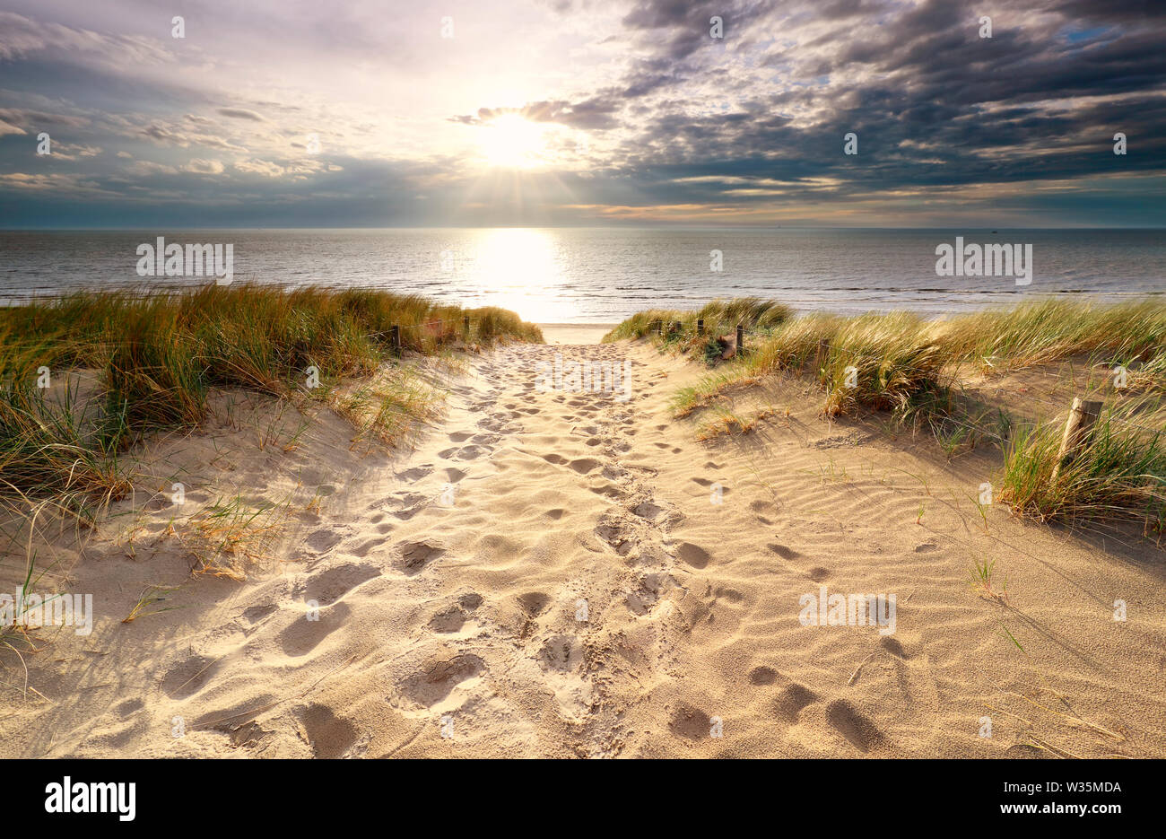 sunshine over sand path to North sea beach in summer Stock Photo - Alamy