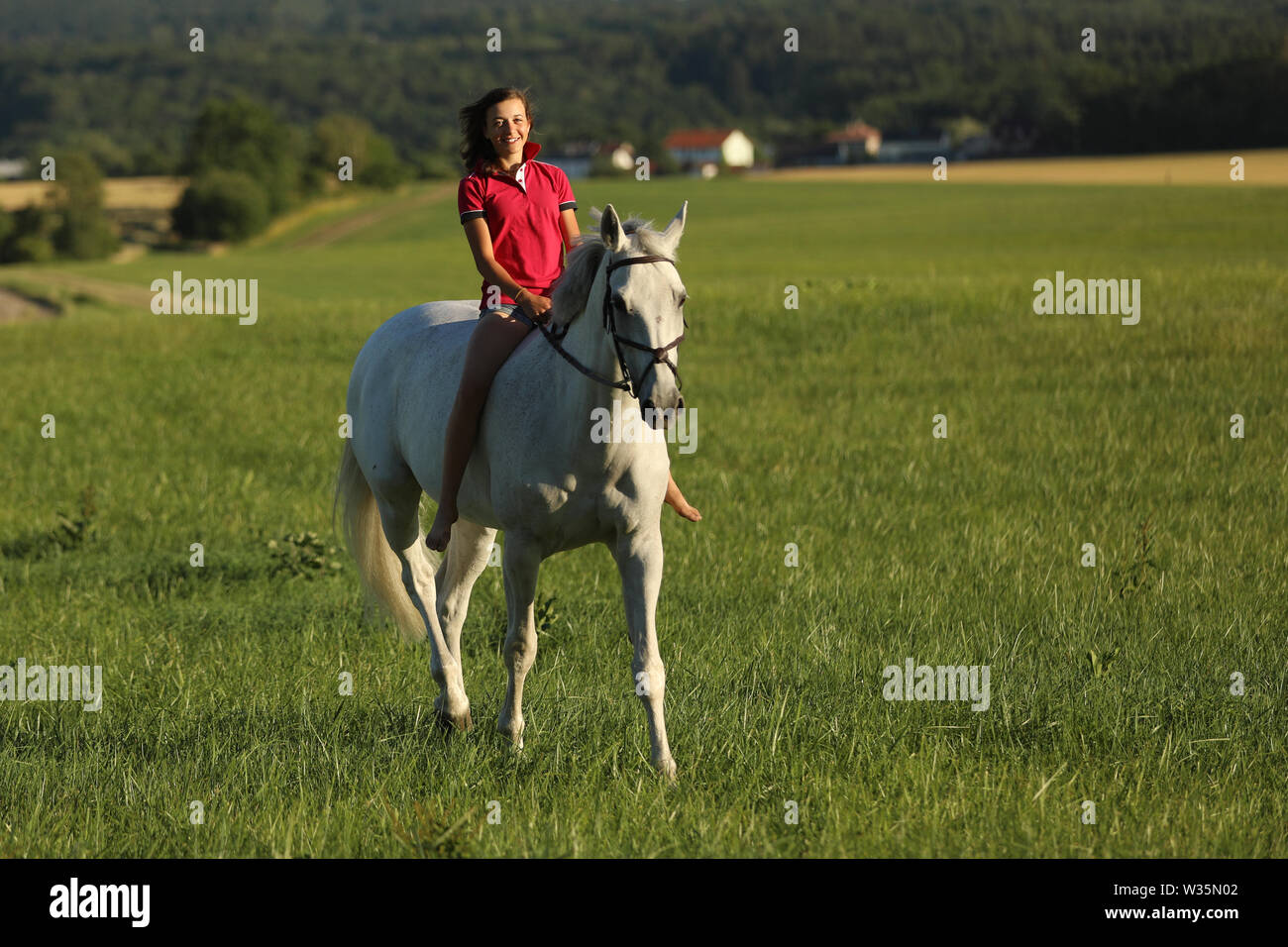 Teen girl ride on white horse without saddle on meadow in late afternoon, sunset time Stock