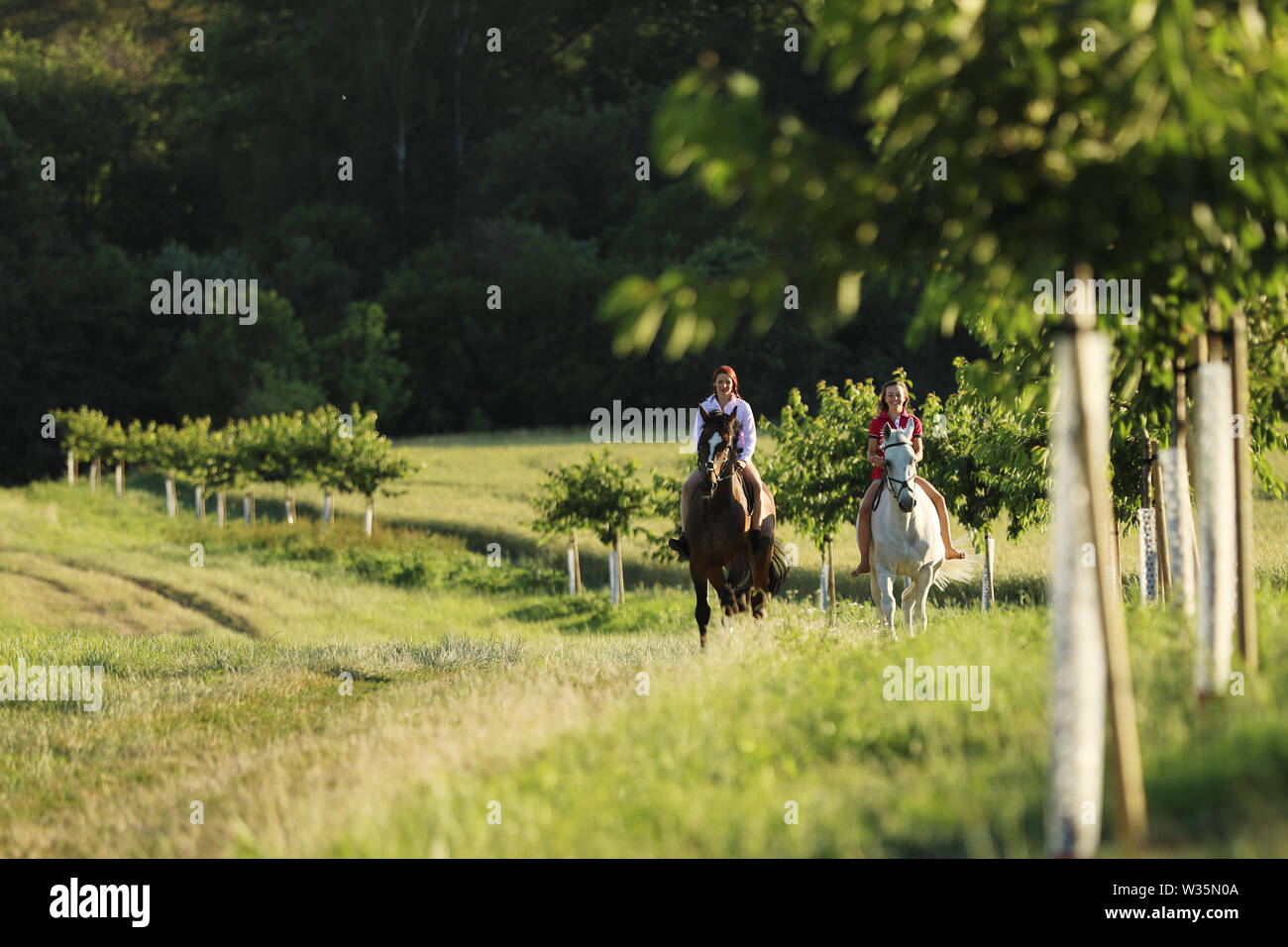 Two young girl riding horses on the walk without saddle in summer time Stock Photo Alamy