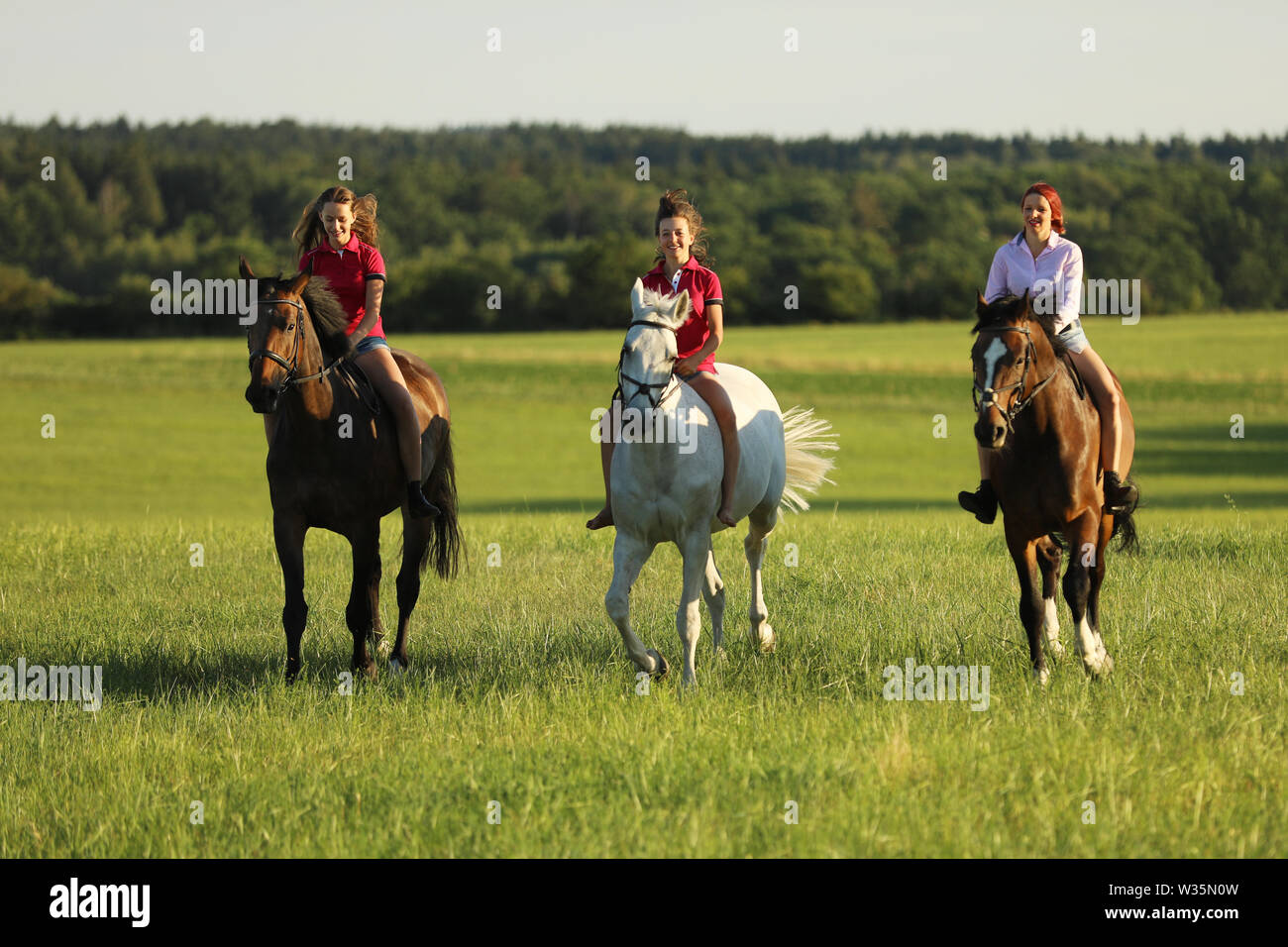 Young girls riding on horses without saddle on meadow in summer afternoon Stock Photo