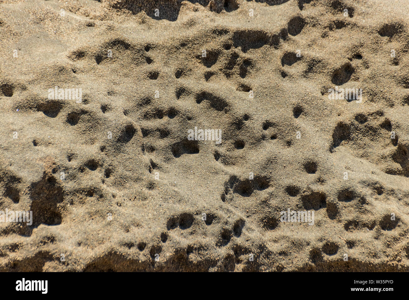 Details of sandstone texture background. The surface with depressions