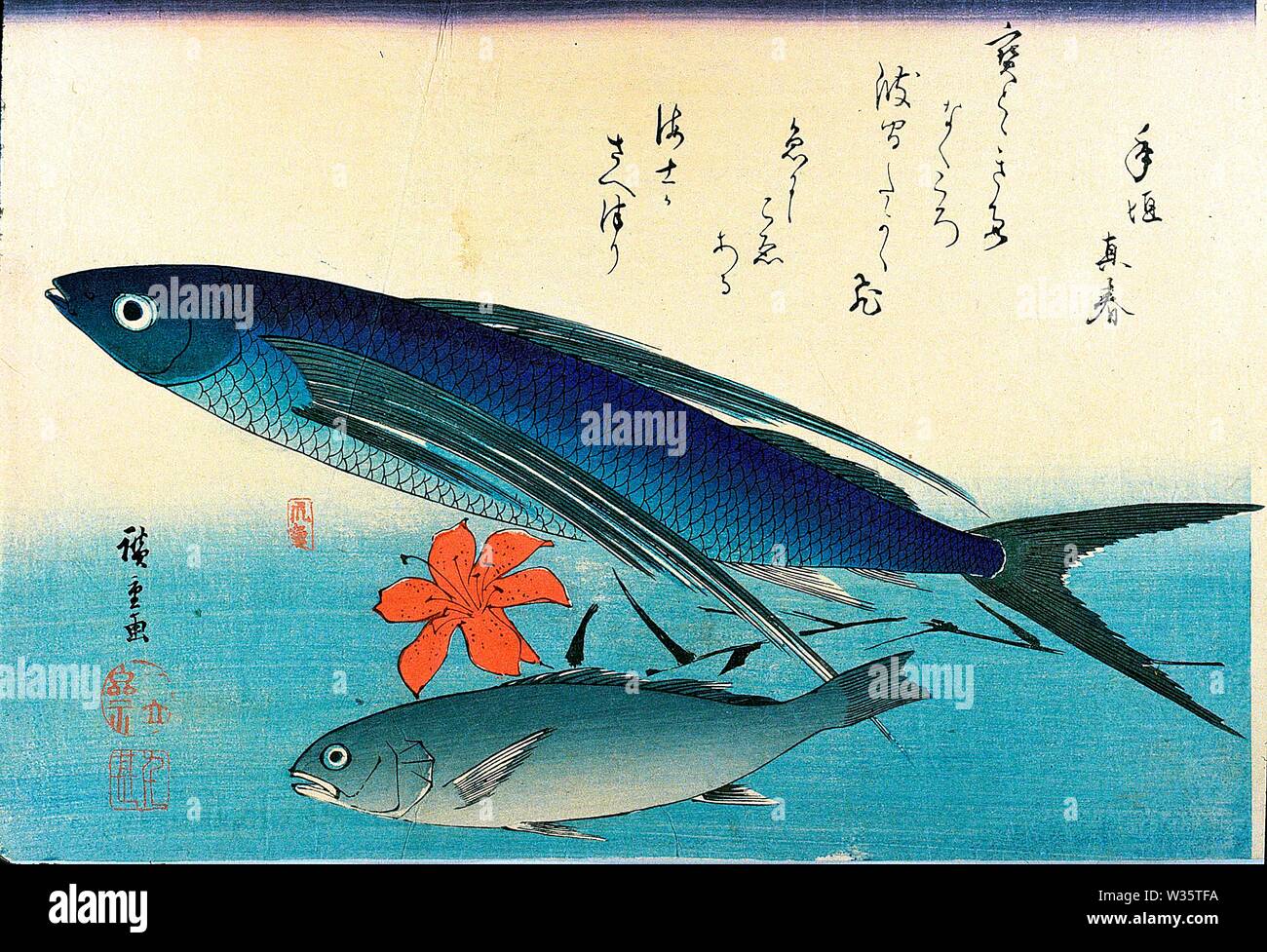 Tobiuo or tobiuwo 飛魚 (flying fish), Ishimochi, guchi or shiroguchi 石持 (white croaker, silver jewfish) Utagawa Hiroshige woodblock print from Uozukushi Stock Photo