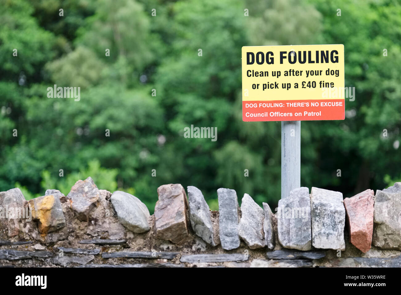 Dog fouling clean up after your dog or face a fine sign Stock Photo Alamy