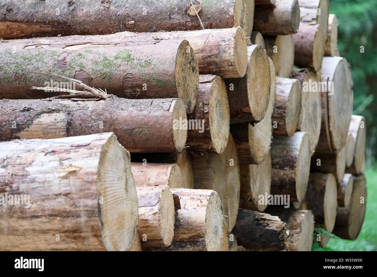 Logs For Sale Stock Photos Logs For Sale Stock Images Page 2