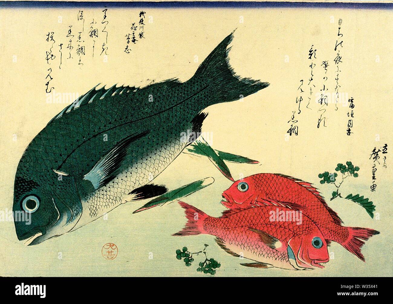Kurodai 黒鯛 Blackhead Seabream Japanese Black Porgy Akadai Red Seabream Or Golden Tai Utagawa Hiroshige Woodblock Print From The Series Uozukushi Stock Photo Alamy Kurodai 黒鯛 Blackhead Seabream Japanese Black Porgy Akadai Red Seabream Or Golden Tai Utagawa Hiroshige Woodblock Print From The Series Uozukushi Stock Photo Alamy