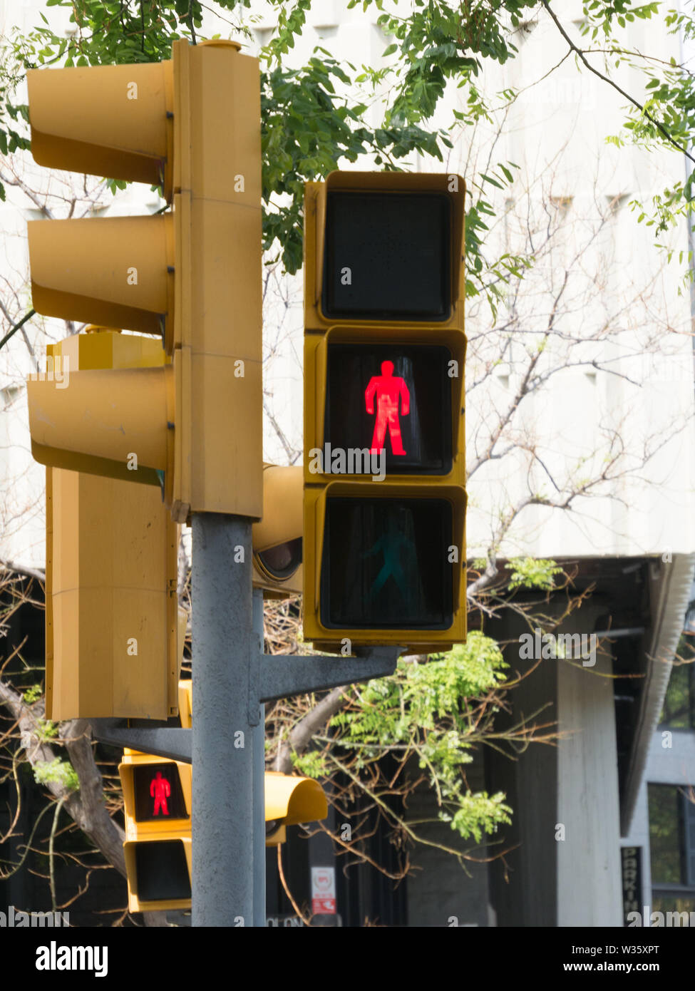 Go Sign Pedestrian Crossing High Resolution Stock Photography and