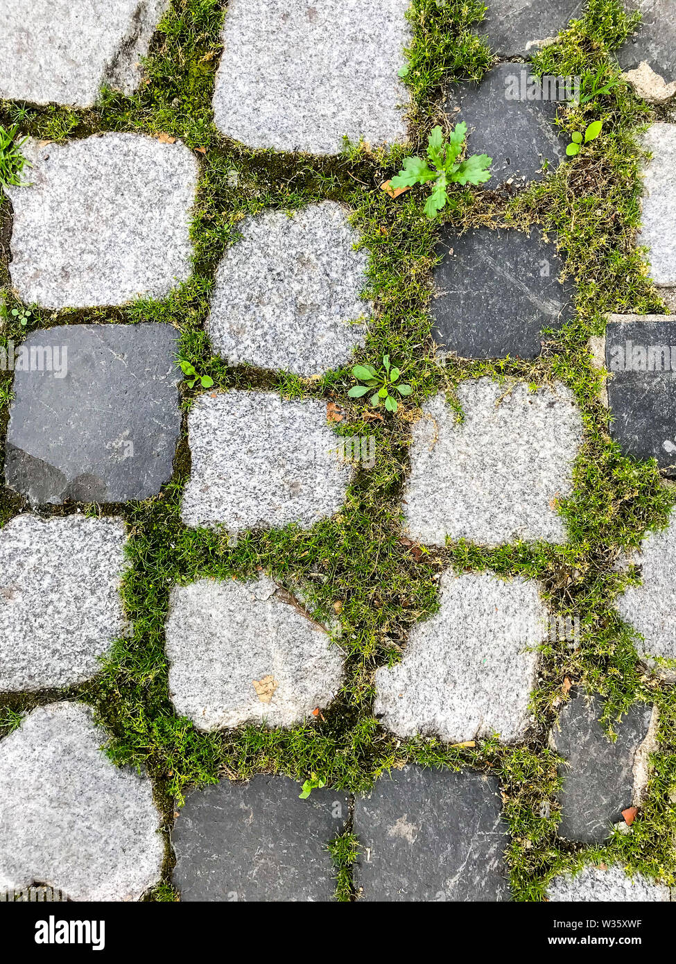 Background, pattern, texture stone pavement. Studio Photo Stock Photo ...