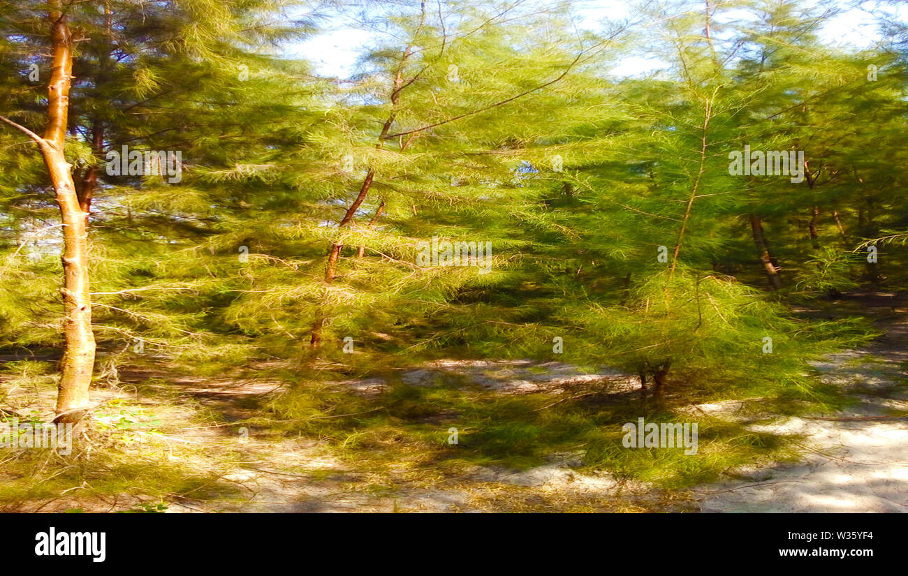Many beautiful wallpapers. Stock Photo