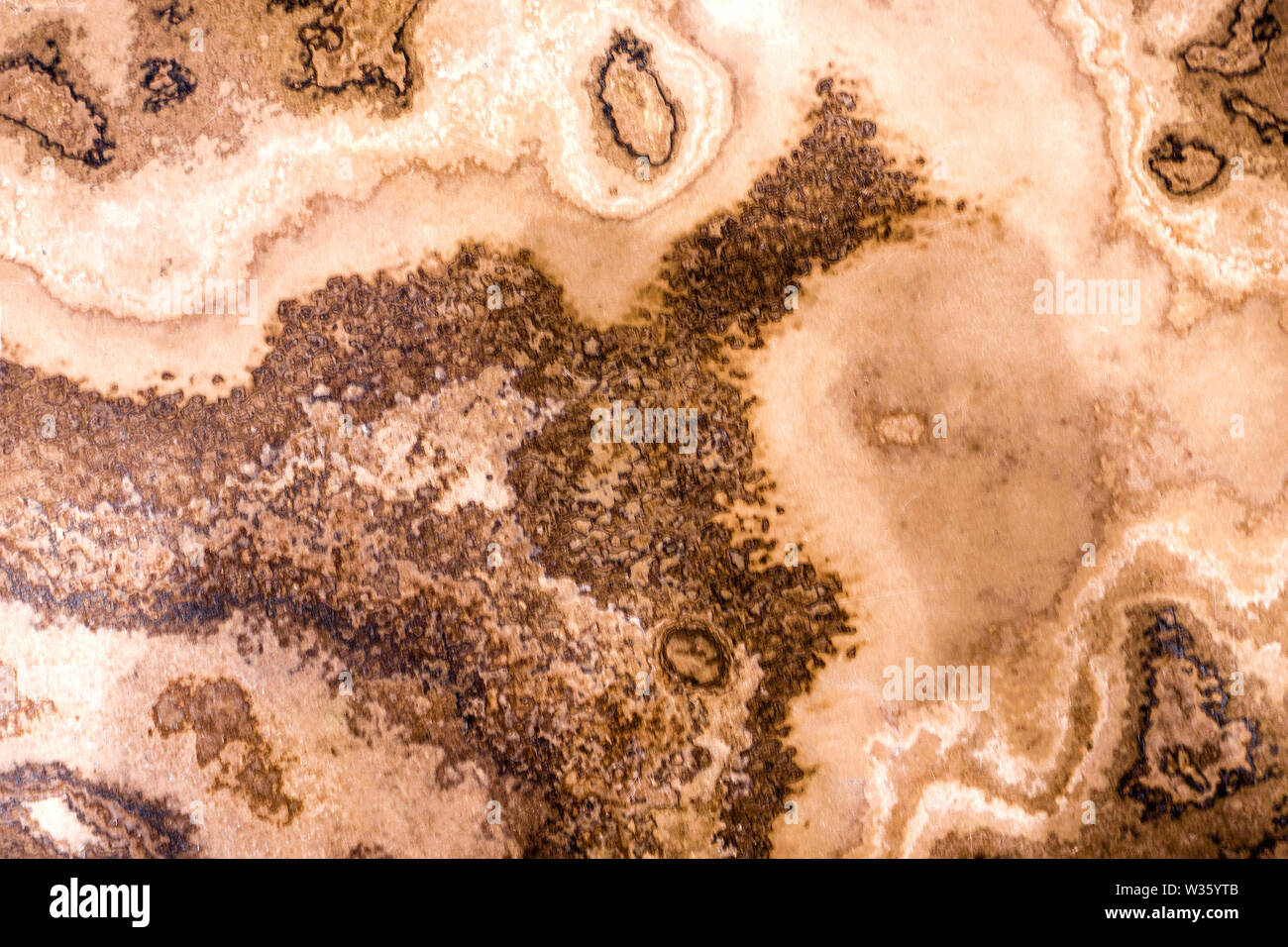 Marble slabs with striking brown pattern on a light background Stock Photo
