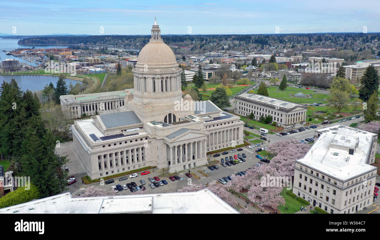 Aerial Perspective Over Spring Cherry Blossoms at the Washington State Capital building in