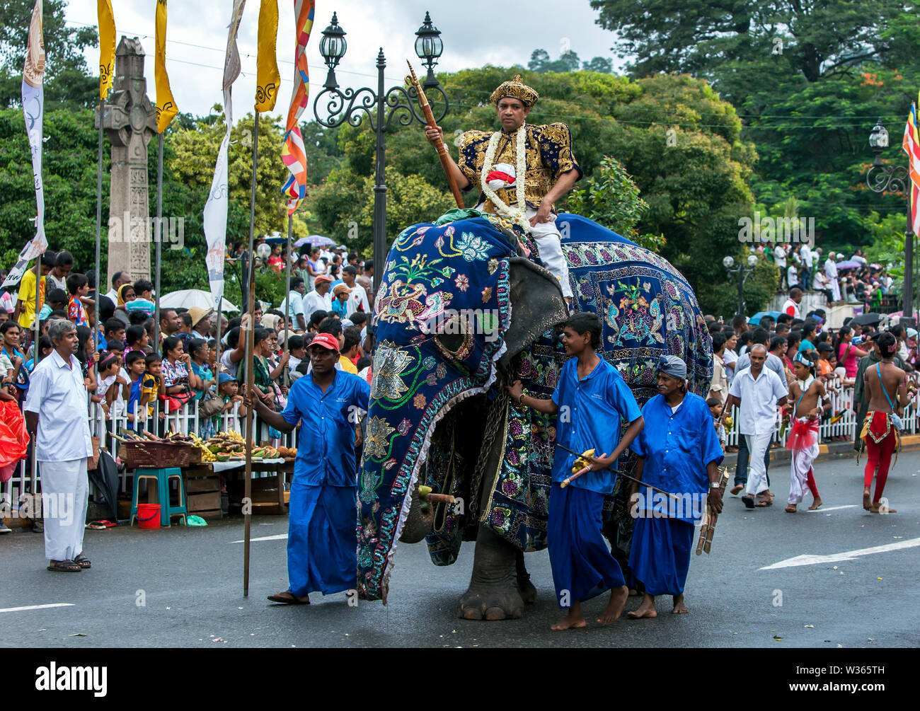 A ceremonial elephant is lead by mahouts along a street at Kandy in Sri Lanka during the Day Perahera, the last day of the Esala Perahera. Stock Photo