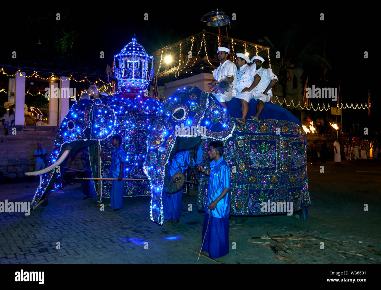Ceremonial elephants dressed in blue cloaks parade through the streets of Kandy in Sri Lanka during the Buddhist Esala Perahera (great procession). Stock Photo
