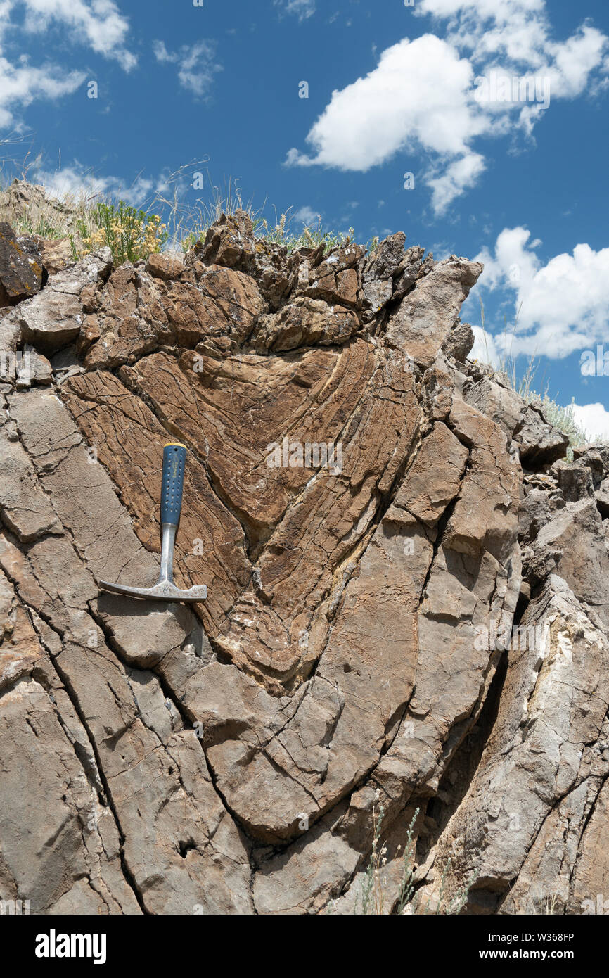 Upright syncline in Triassic limestone of the Dinwoody Formation, Montana, USA. Stock Photo