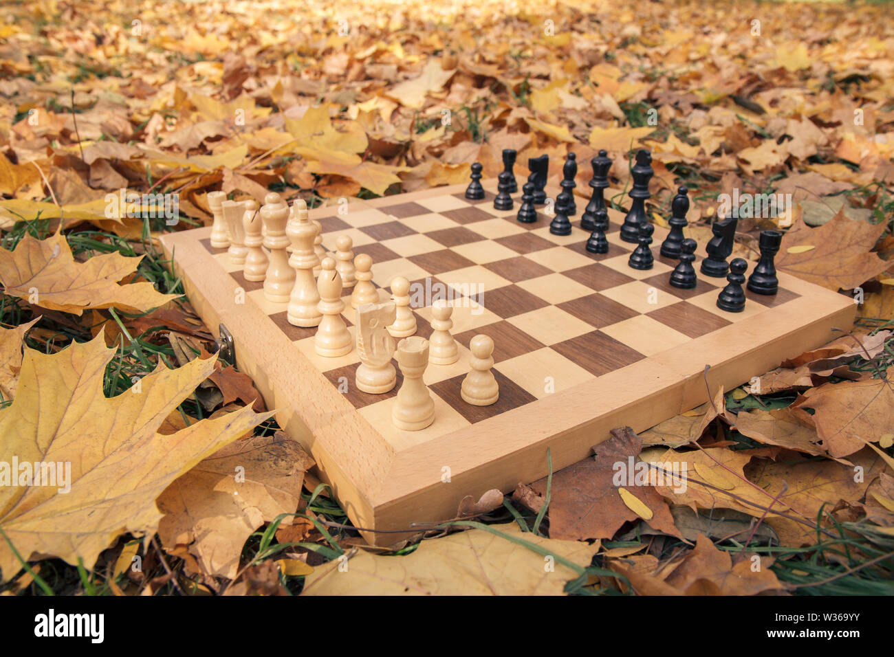 Close-up view of wooden chessboard and pieces on the ground covered with dry yellow leaves. Focus on white pieces. Stock Photo