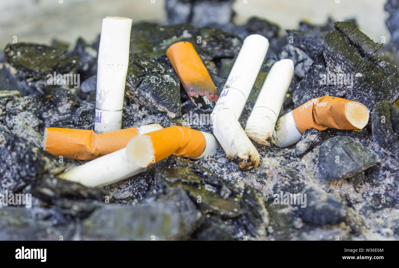 Cigarette butts Stock Photo