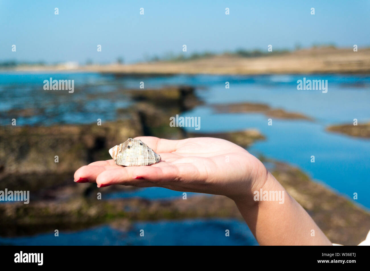 Young indian woman holding up a sea shell with the blue water pools in the background Stock Photo