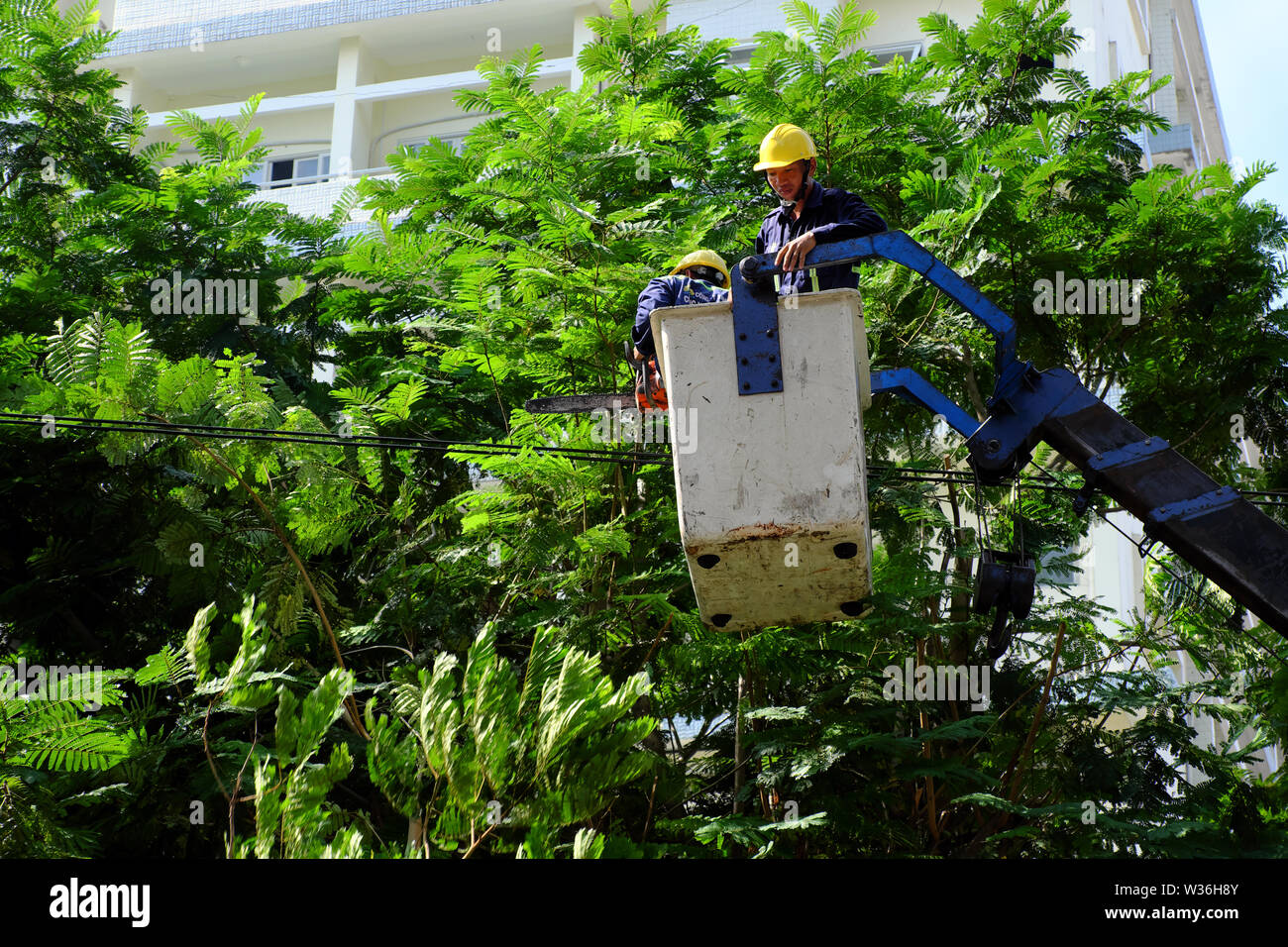 Ho Chi Minh city, Vietnamese worker work on boom lift to cut branch of tree for safety in rain season, crane truck on road for group of people working Stock Photo