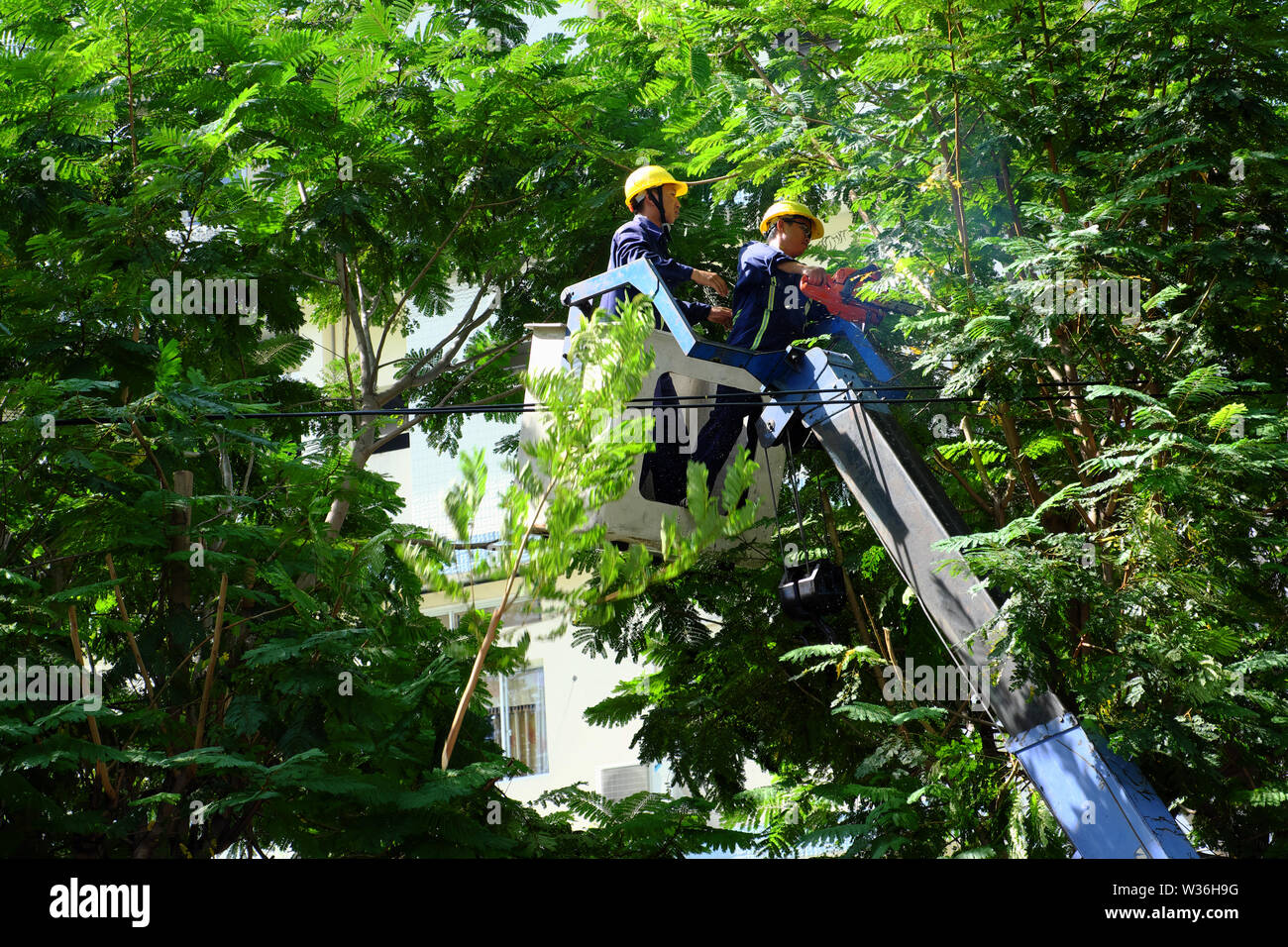 Ho Chi Minh city, Vietnamese worker work on boom lift to cut branch of tree for safety in rain season, crane truck on road for group of people working Stock Photo