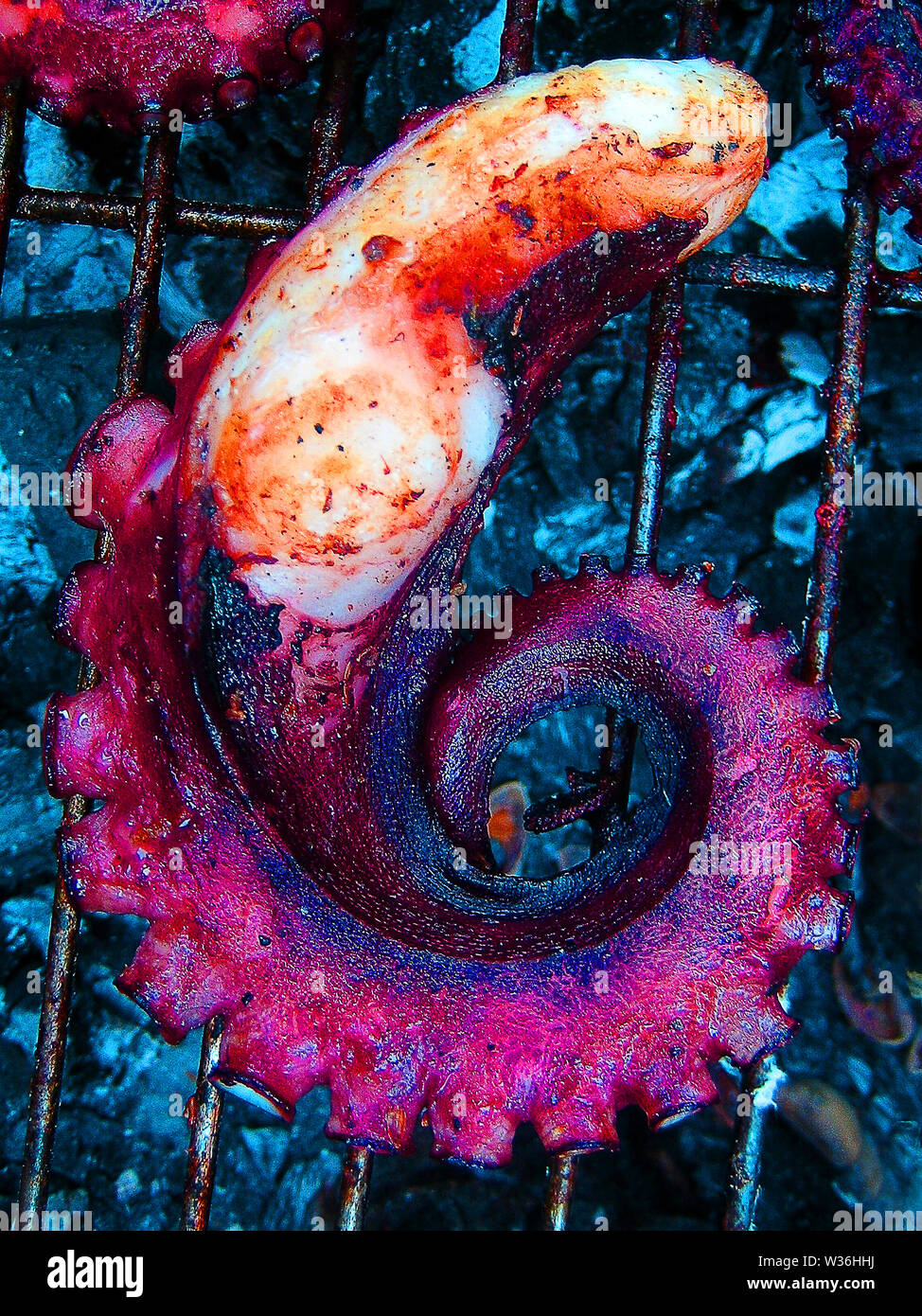 Octopus feet macro background summer grill on the beach wallpaper Stock