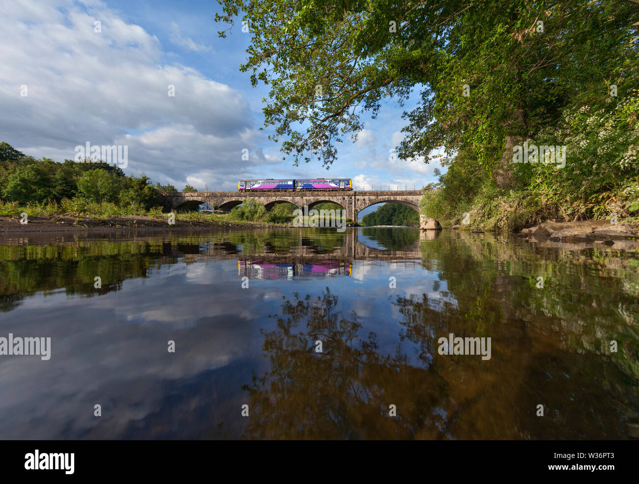Arriva Northern rail class 142 pacer train crossing the river Lune viaduct at Arkholme  on the ' little north western ' line in Lancashire Stock Photo