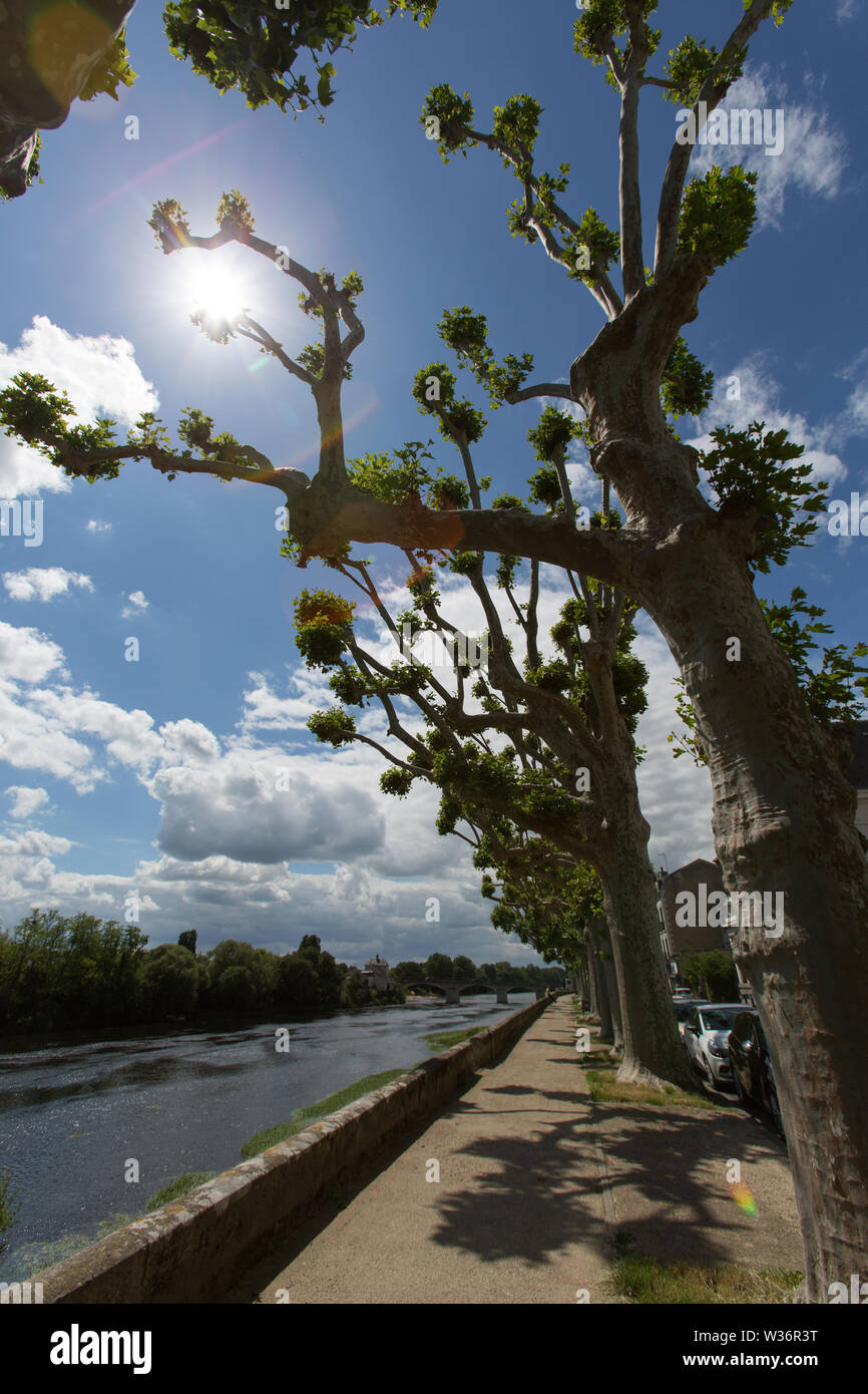 Chinon, France. Picturesque silhouetted view of Chinon’s tree lined north embankment at Quai Jeanne d'Arc, with the River Vienne in the background. Stock Photo