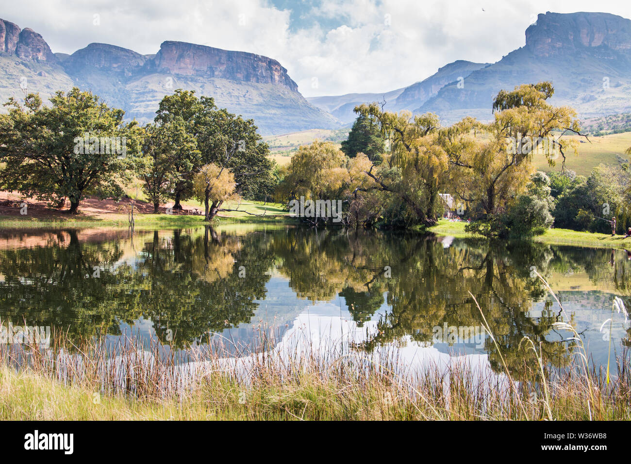 Northern Drakensberg mountains reflecting in water with trees and cloudy skies in the Royal Natal National Park, South Africa. Stock Photo