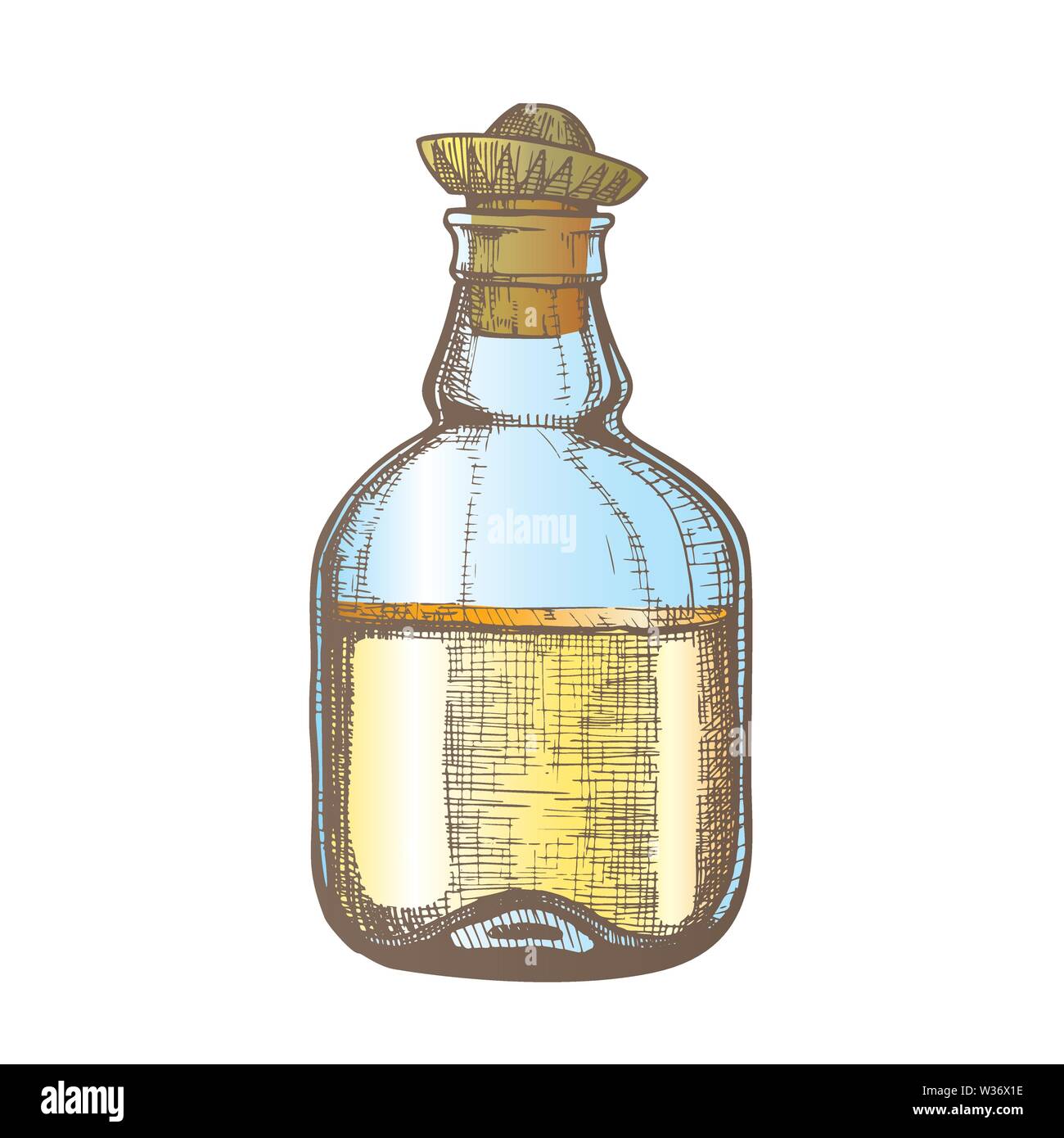 Color Design Blank Tequila Bottle Mexican Hat Cap Vector Stock Vector