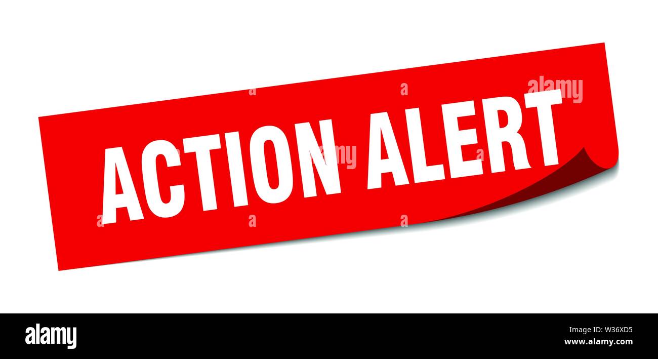 Action This Dat Sticker action alert sticker. action alert square isolated sign. action alert ...