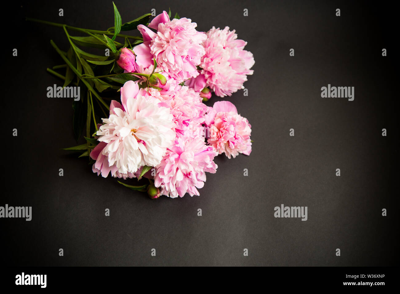 bouquet of blooming peonies on black background Stock Photo - Alamy