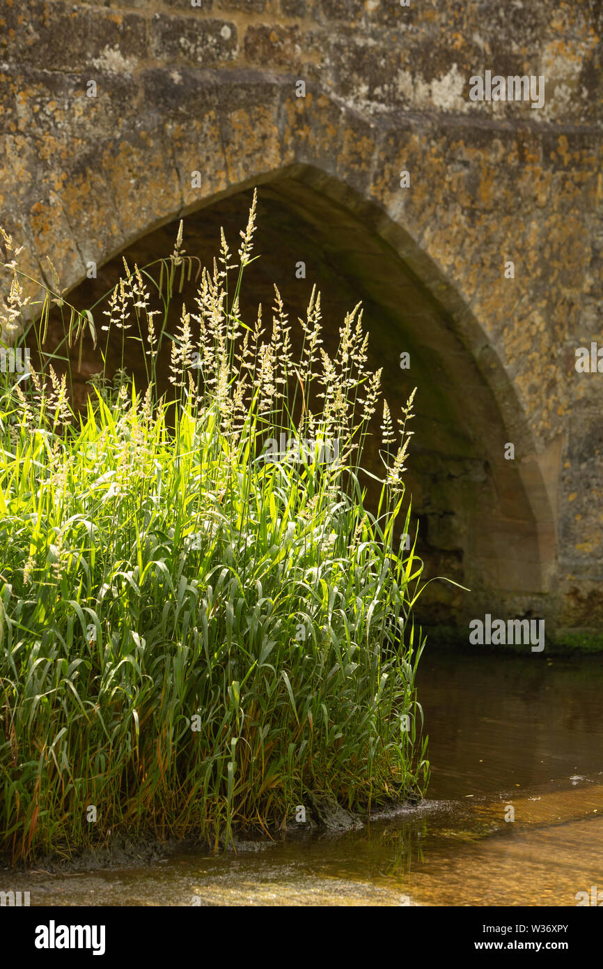 The ford and bridge, built 1250, at Geddington Stock Photo