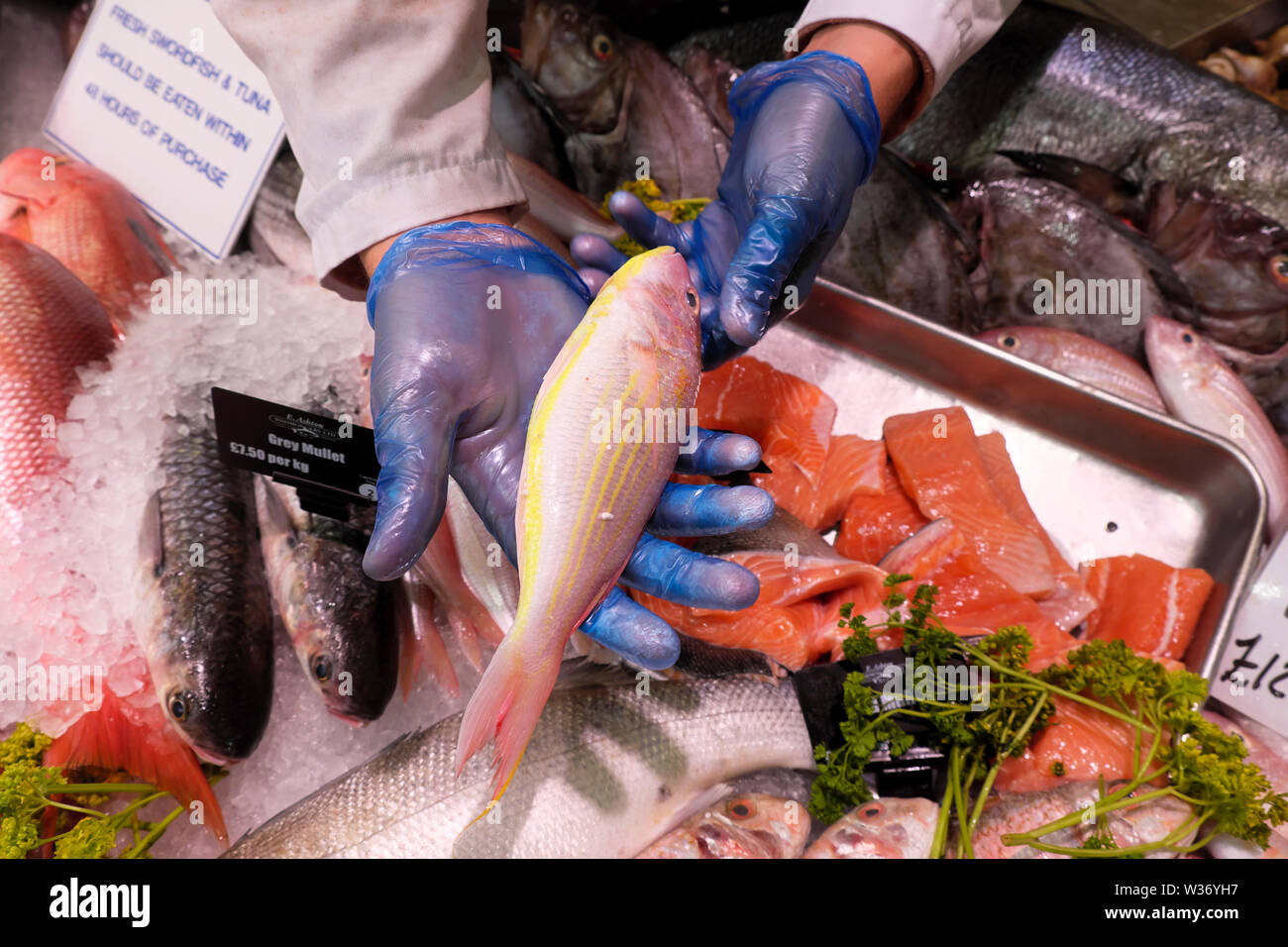 Seafood Counter Display High Resolution Stock Photography and Images