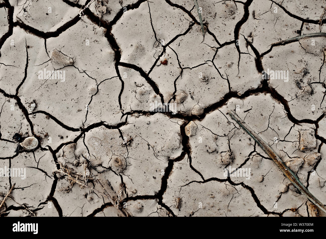 An Abstract background Texture Of Dry Cracked Earth In A Drought Stock ...
