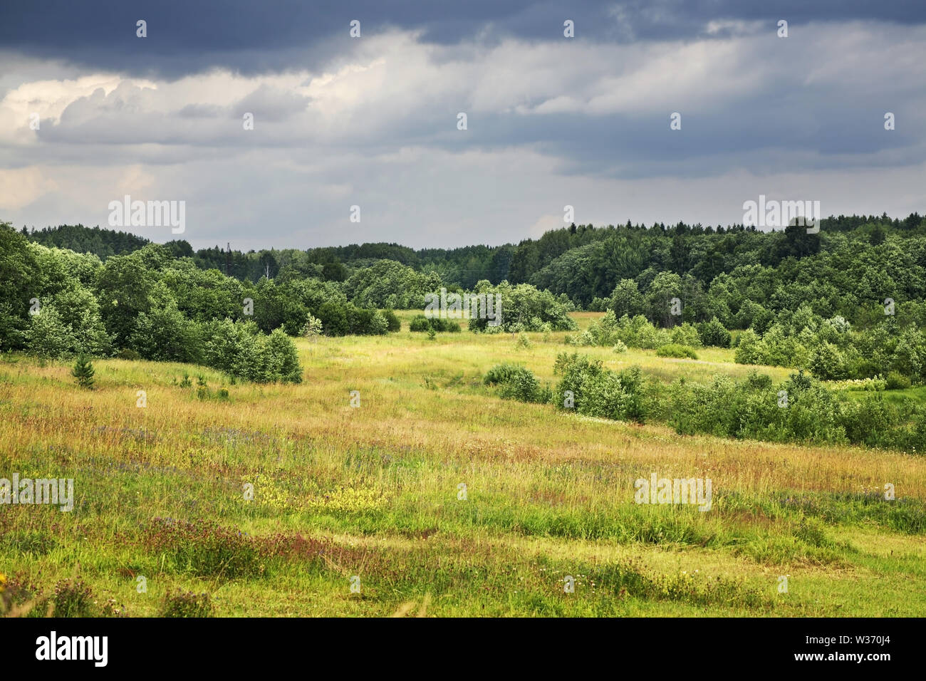 Landscape near Lazarevskaya village. Kargopolsky district. Arkhangelsk oblast. Russia Stock Photo