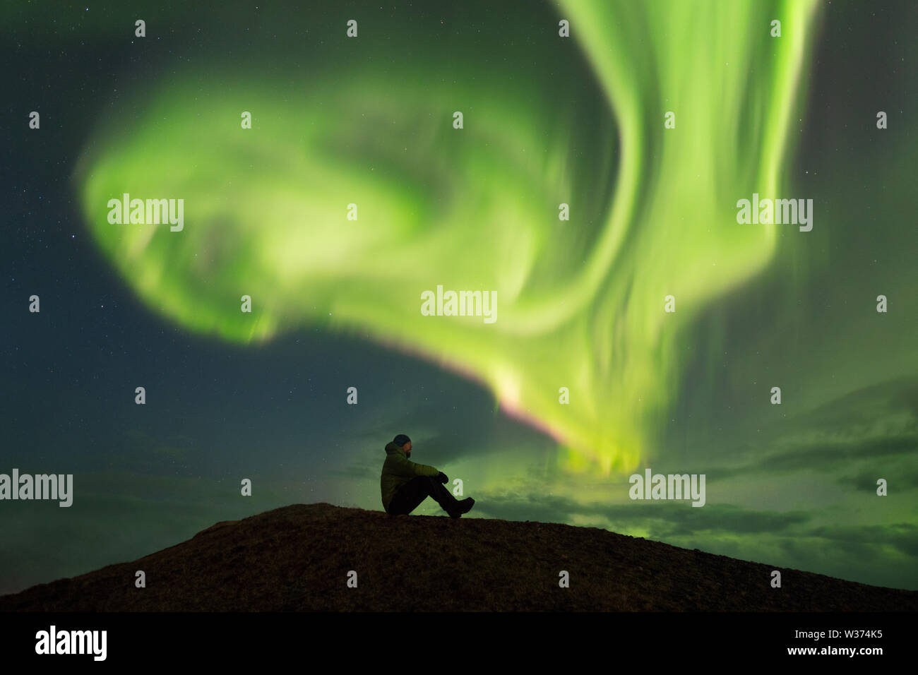 Northern lights in Lofoten islands, Norway. Green Aurora borealis ...