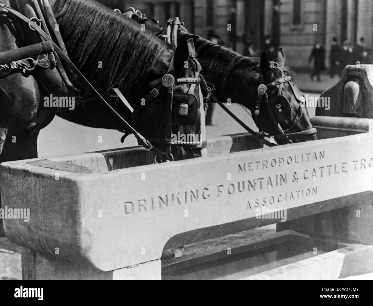 Horse trough tub hi-res stock photography and images - Alamy