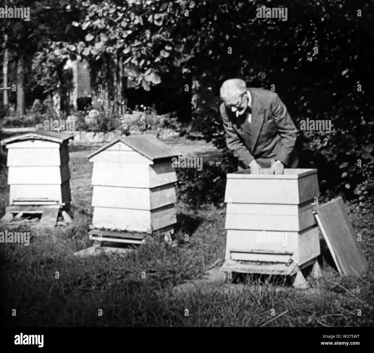 Vintage bee hive hi-res stock photography and images - Alamy
