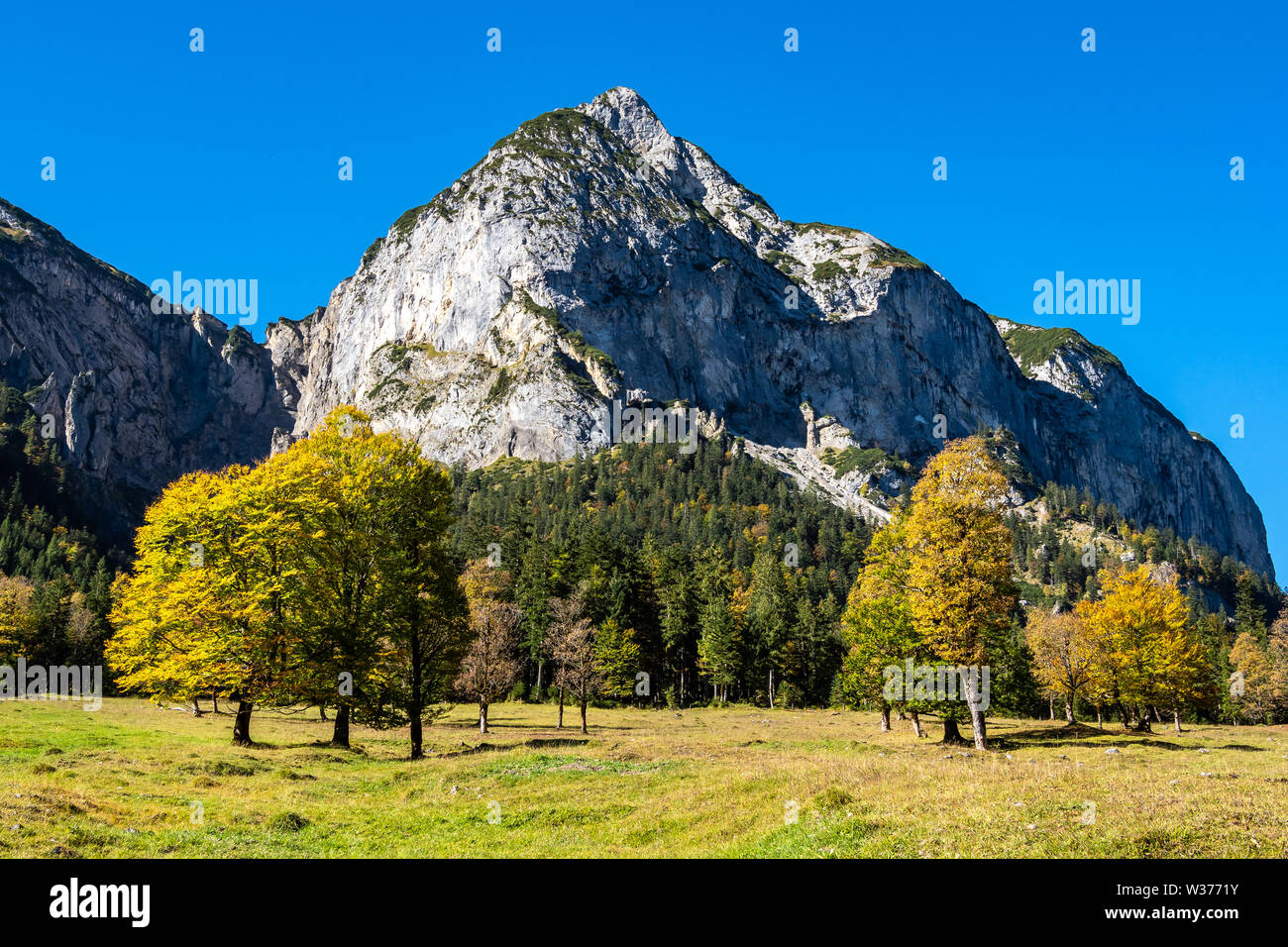 Autumn View Of The Maple Trees At Ahornboden Karwendel Mountains autumn-view-of-the-maple-trees-at-ahornboden-karwendel-mountains